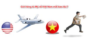 Gửi hàng từ Việt Nam sang Mỹ nhận hàng nhanh chóng chỉ sau 3 đến 5 ngày